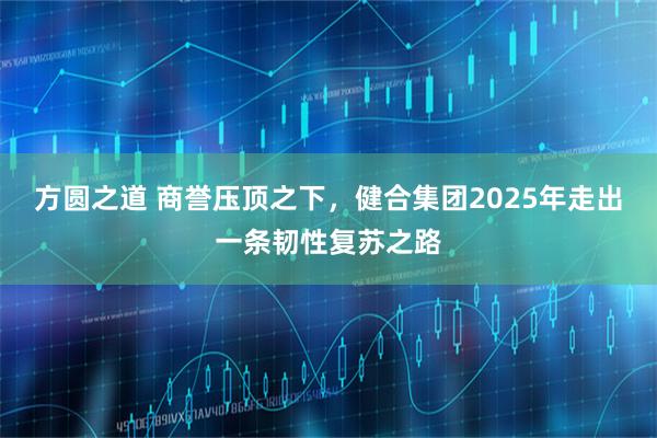 方圆之道 商誉压顶之下，健合集团2025年走出一条韧性复苏之路