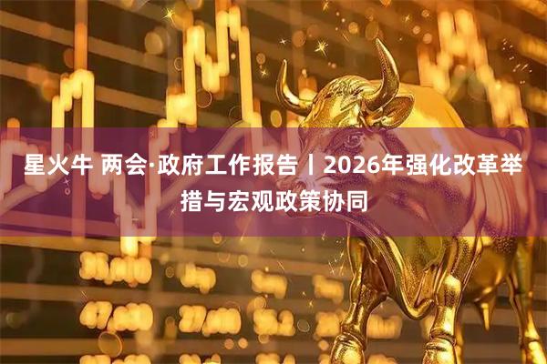 星火牛 两会·政府工作报告丨2026年强化改革举措与宏观政策协同