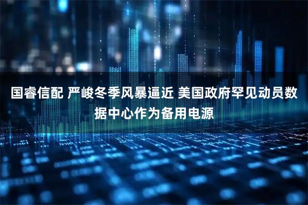国睿信配 严峻冬季风暴逼近 美国政府罕见动员数据中心作为备用电源