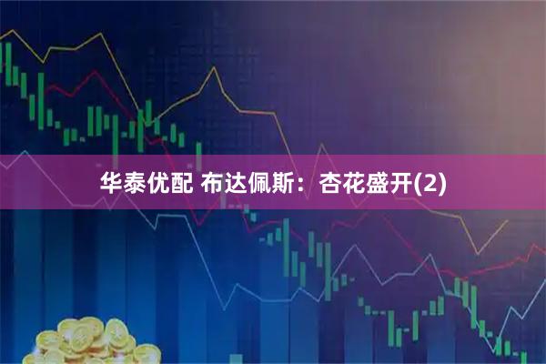 华泰优配 布达佩斯：杏花盛开(2)
