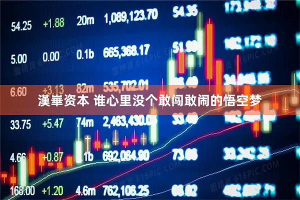 漢崋资本 谁心里没个敢闯敢闹的悟空梦