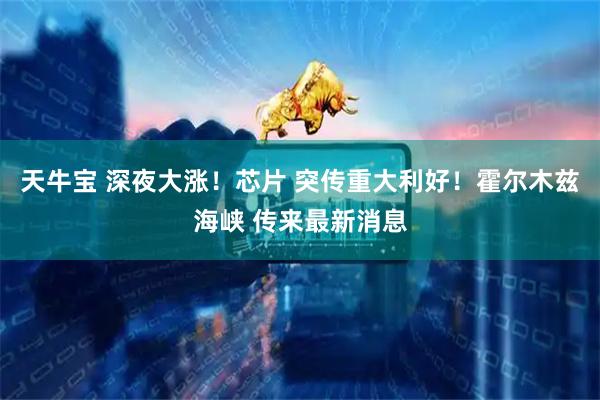 天牛宝 深夜大涨！芯片 突传重大利好！霍尔木兹海峡 传来最新消息
