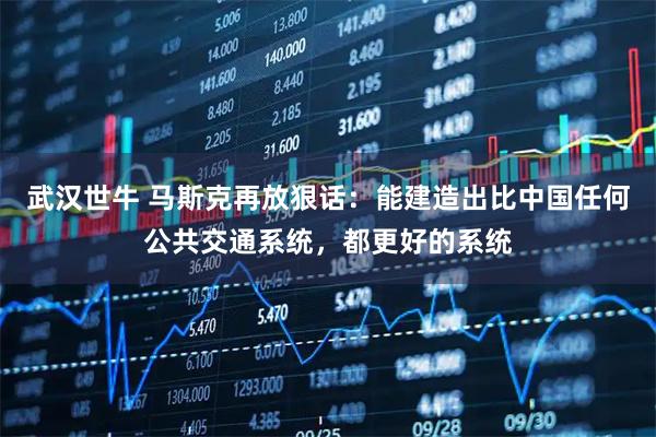 武汉世牛 马斯克再放狠话：能建造出比中国任何公共交通系统，都更好的系统
