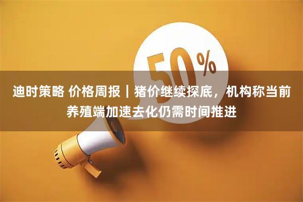 迪时策略 价格周报｜猪价继续探底，机构称当前养殖端加速去化仍需时间推进