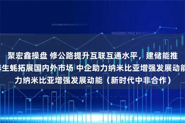 聚宏鑫操盘 修公路提升互联互通水平，建储能推动清洁能源转型，养生蚝拓展国内外市场 中企助力纳米比亚增强发展动能（新时代中非合作）
