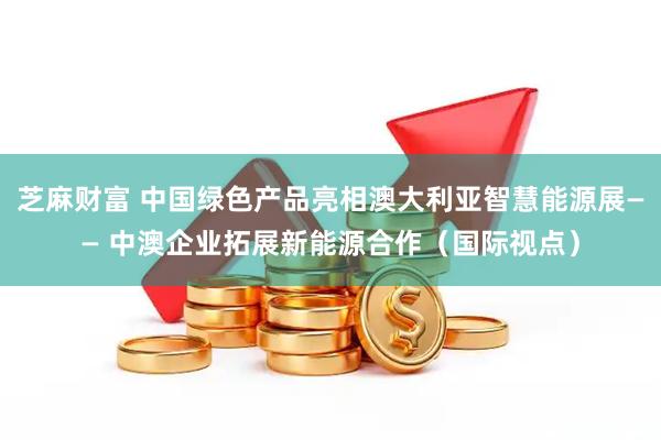 芝麻财富 中国绿色产品亮相澳大利亚智慧能源展—— 中澳企业拓展新能源合作（国际视点）