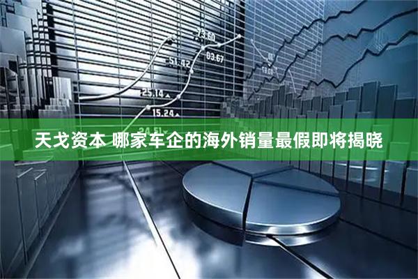 天戈资本 哪家车企的海外销量最假即将揭晓