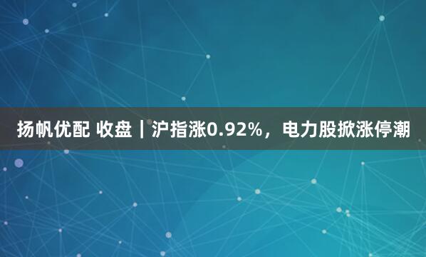扬帆优配 收盘｜沪指涨0.92%，电力股掀涨停潮