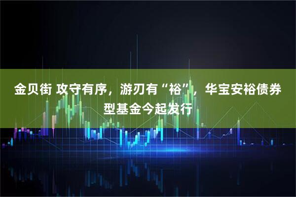 金贝街 攻守有序，游刃有“裕”，华宝安裕债券型基金今起发行