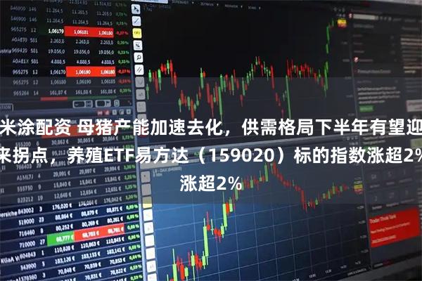 米涂配资 母猪产能加速去化，供需格局下半年有望迎来拐点，养殖ETF易方达（159020）标的指数涨超2%