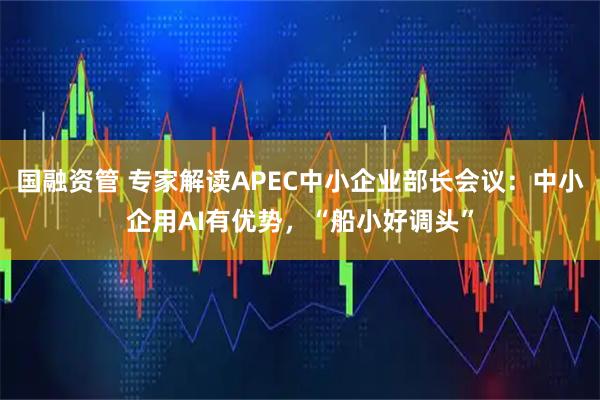 国融资管 专家解读APEC中小企业部长会议：中小企用AI有优势，“船小好调头”